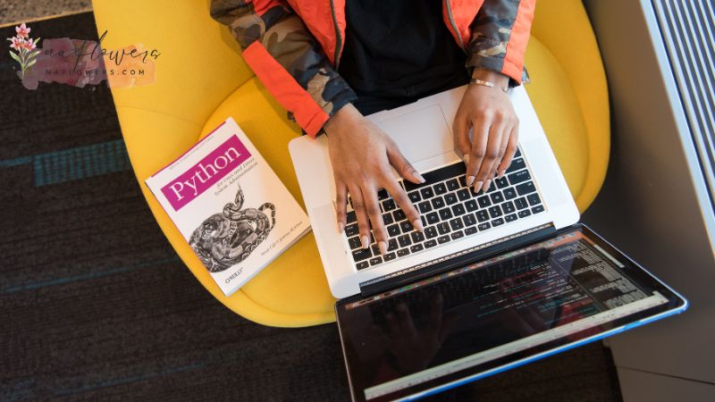 จุดเด่นของ Python