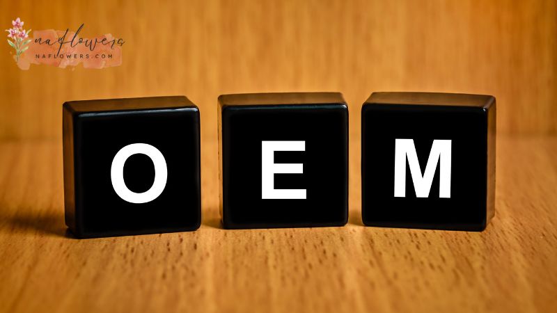 จุดเด่นของธุรกิจแบบ OEM