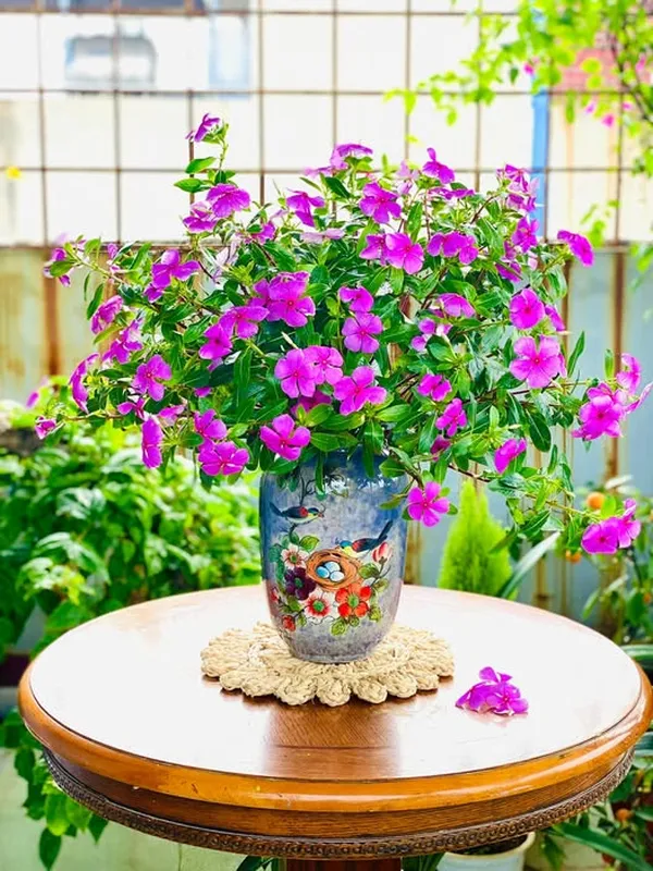 ดอกไม้สีม่วง (7)