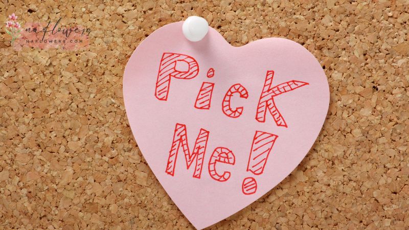 ลักษณะของ Pick Me Girl